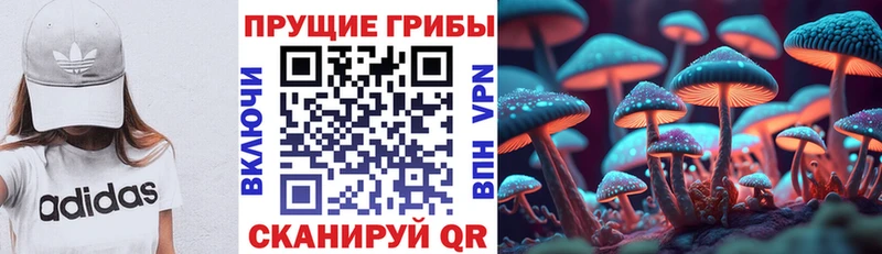 Галлюциногенные грибы MAGIC MUSHROOMS  Купить закладки  Дмитров 